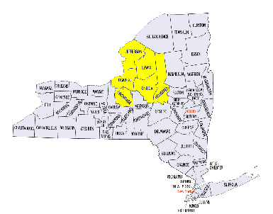 Fourth Judicial Department